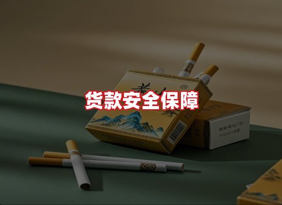 专业团队